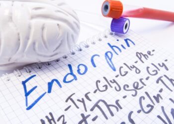 Endorfin Nedir?