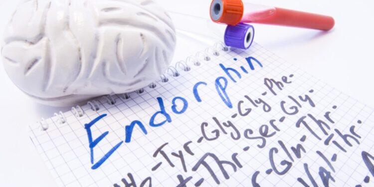 Endorfin Nedir?