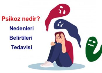 Psikoz Nedir?
